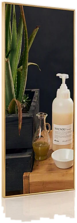 L’aloe in vaso accanto al flacone Davines e a una caraffa col succo, sul tavolino di legno